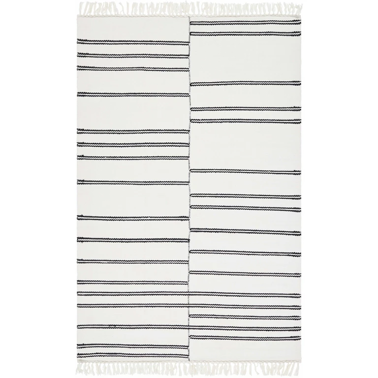Akash Area Rug