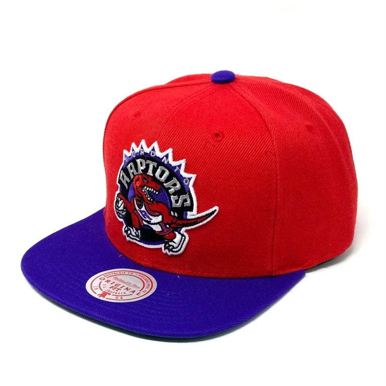 Men's NBA Core Basic Snapback Hwc Raptors Snapback Caps