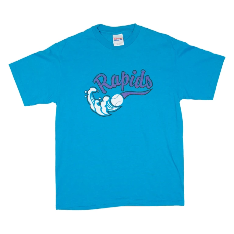 HANES Rapids Mens T-Shirt Blue USA M