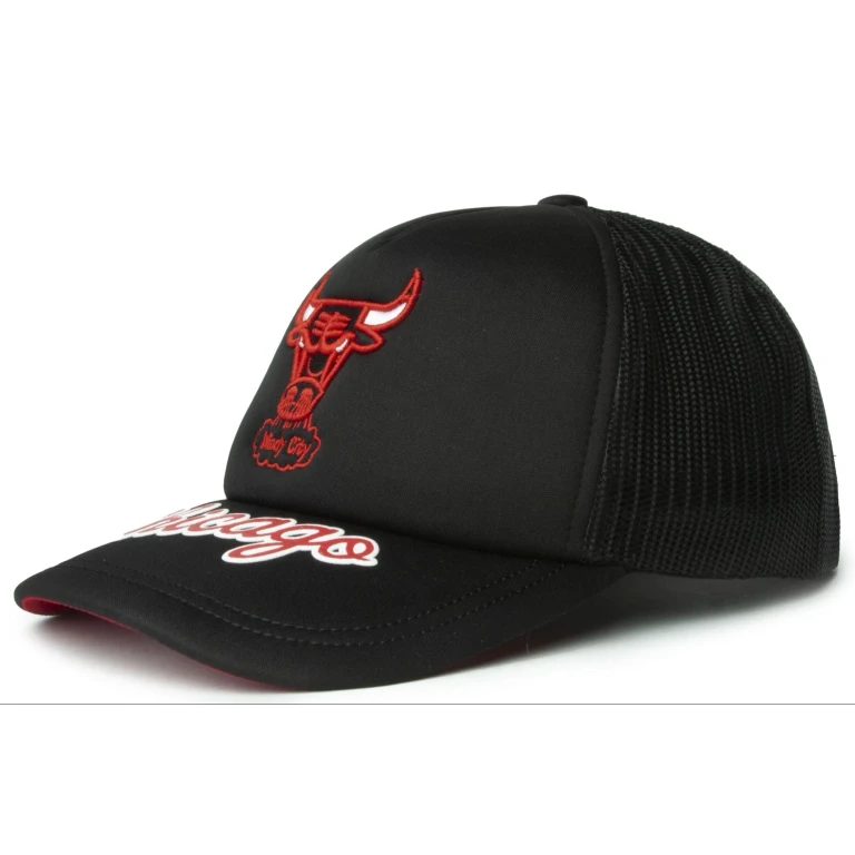 Men's NBA Puff The Magic Trucker Hwc Bulls Hats