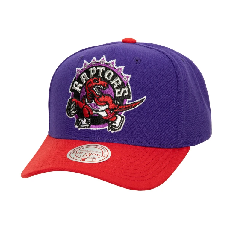 Men's NBA Xl Pro Snapback Hwc Raptors Snapback Caps