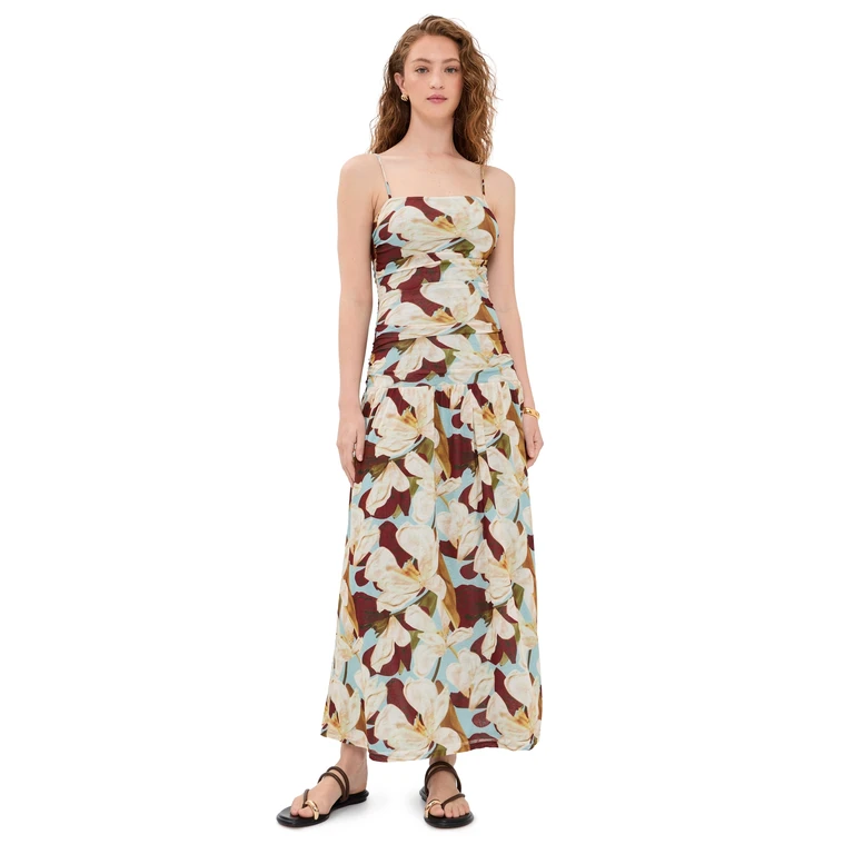 RAILS Dolly Dress Plumeria L