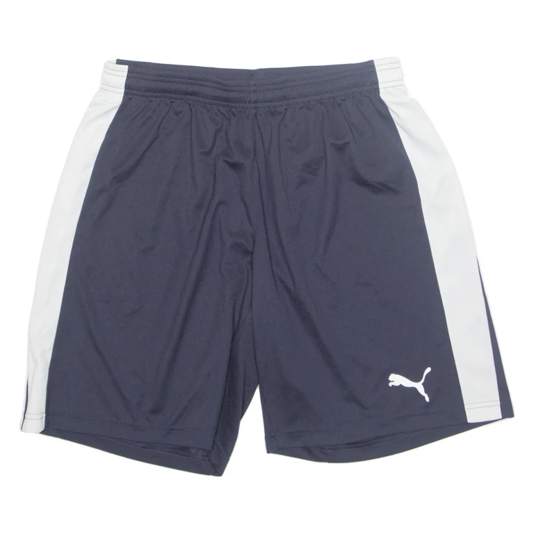 PUMA Mens Sports Shorts Blue Relaxed L W30