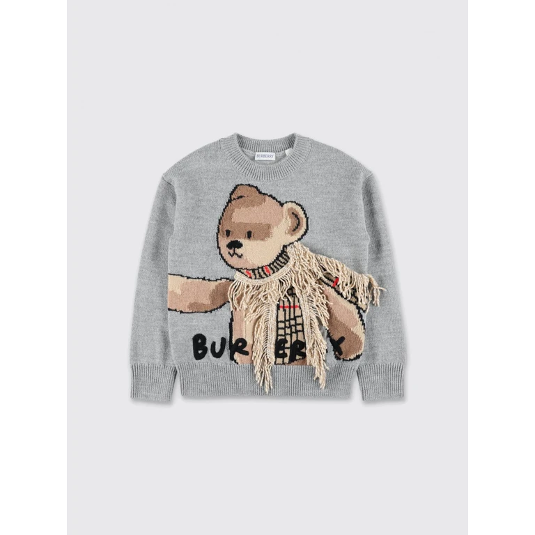 Sweater Kids color Grey (8109458)