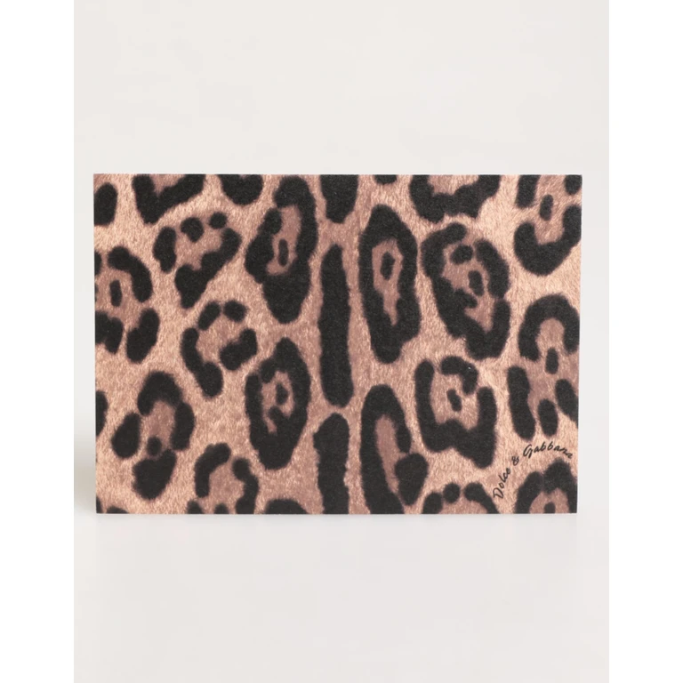 Dolce & Gabbana Multicolor Leopard Print Envelope Paper Post Card Holder Accessory - Women
