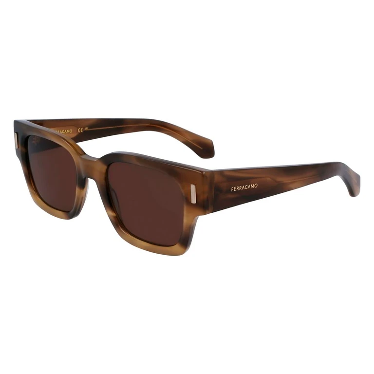Ferragamo Brown Acetate Sunglasses - Men