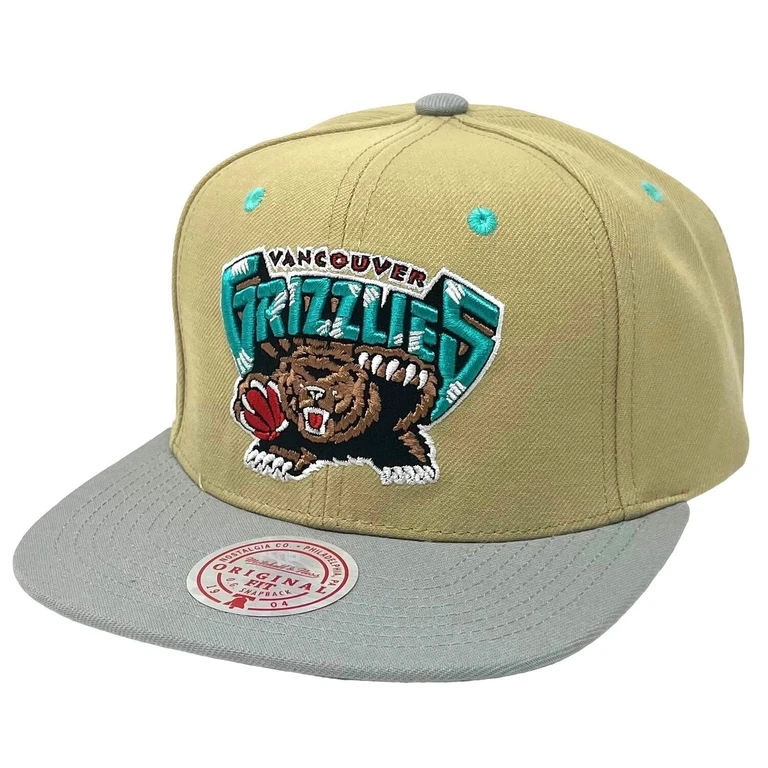 Men's NBA Classic Canvas Snapback Hwc Grizzlies Snapback Caps