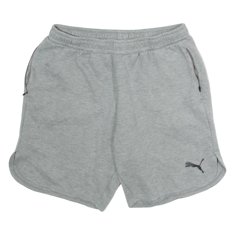 PUMA Mens Sports Shorts Grey XL W32