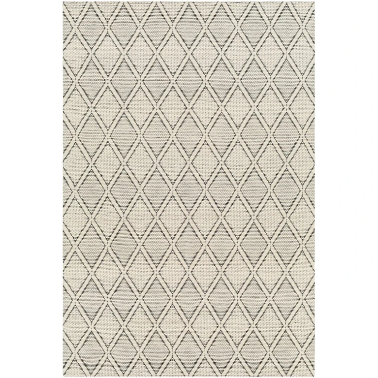 Aeron Area Rug - Clearance