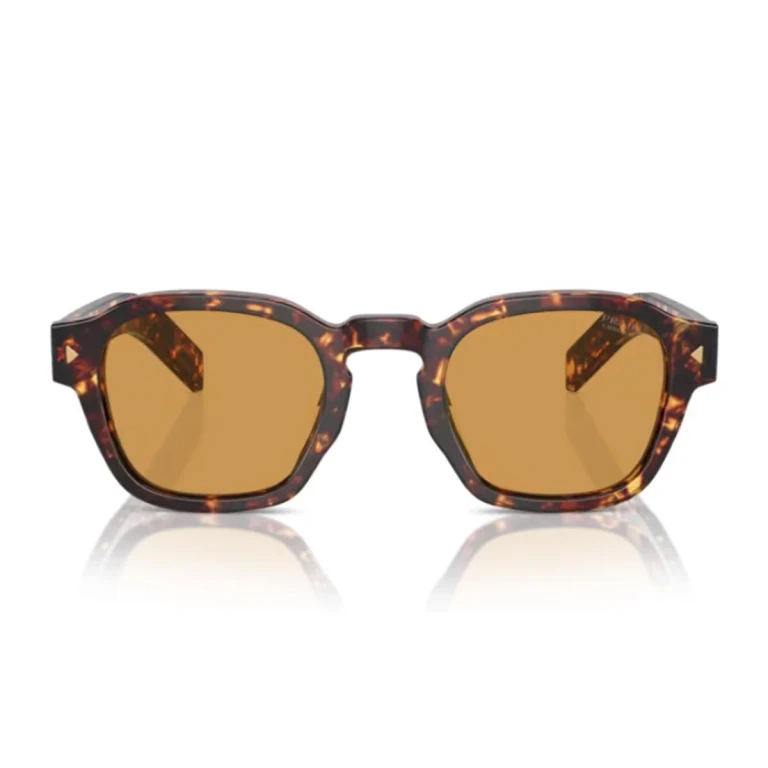 Prada Pr A16s Havana Acetato Sunglasses - Men