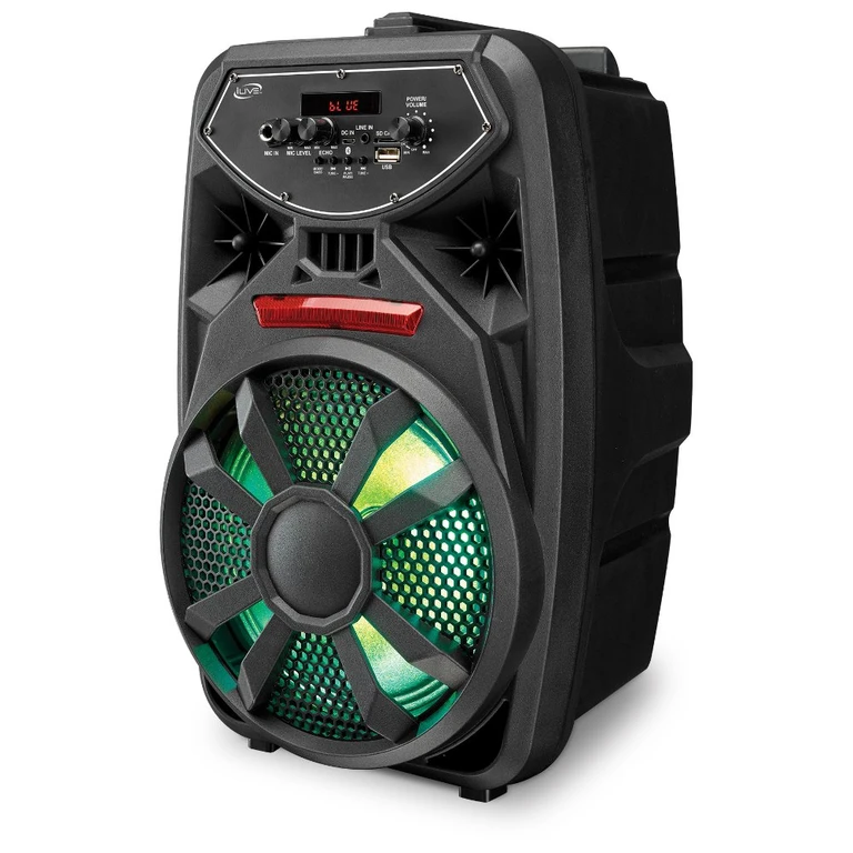 Wireless Party Speaker