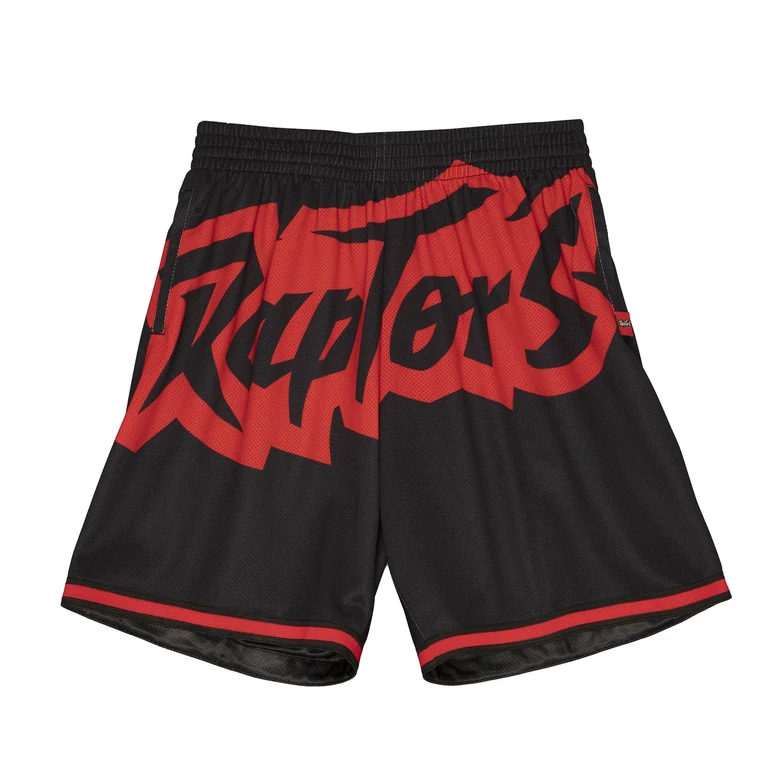 NBA Blown Out Fashion Shorts Toronto Raptors Shorts