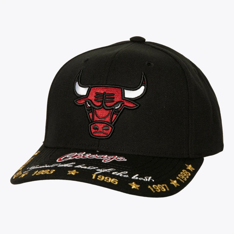 Men's NBA Against The Best Pro Snapback Hwc Bulls Black