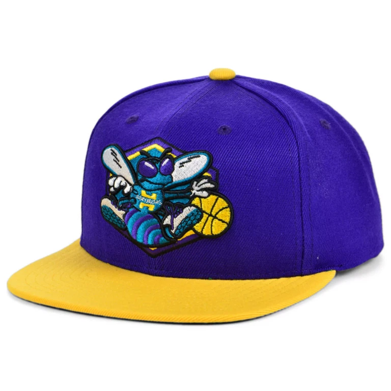 Men's NBA Charlotte Hornets Core Snapback Snapback Caps
