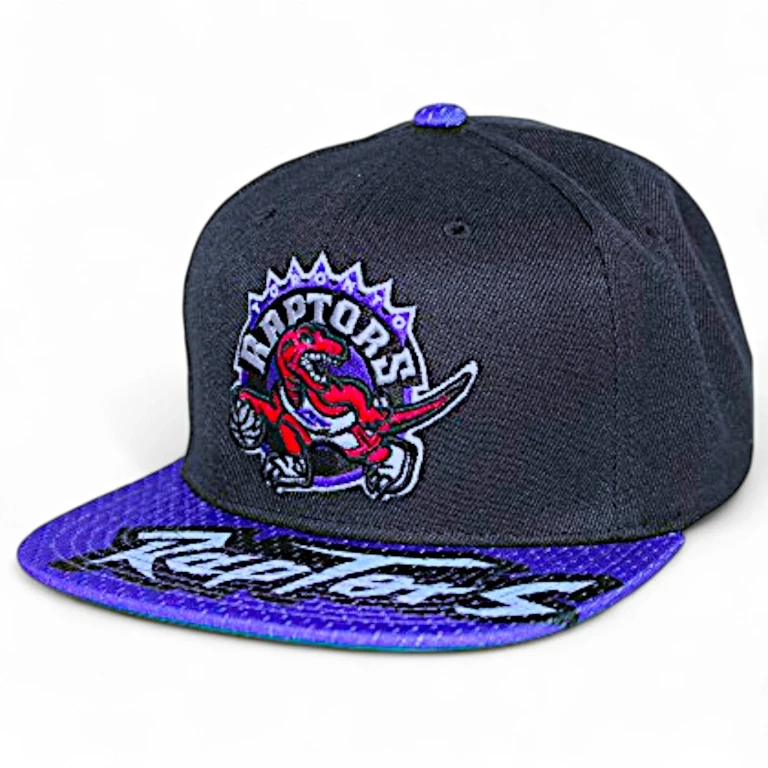 Men's NBA Snapshot Snapback Hwc Raptors Snapback Caps