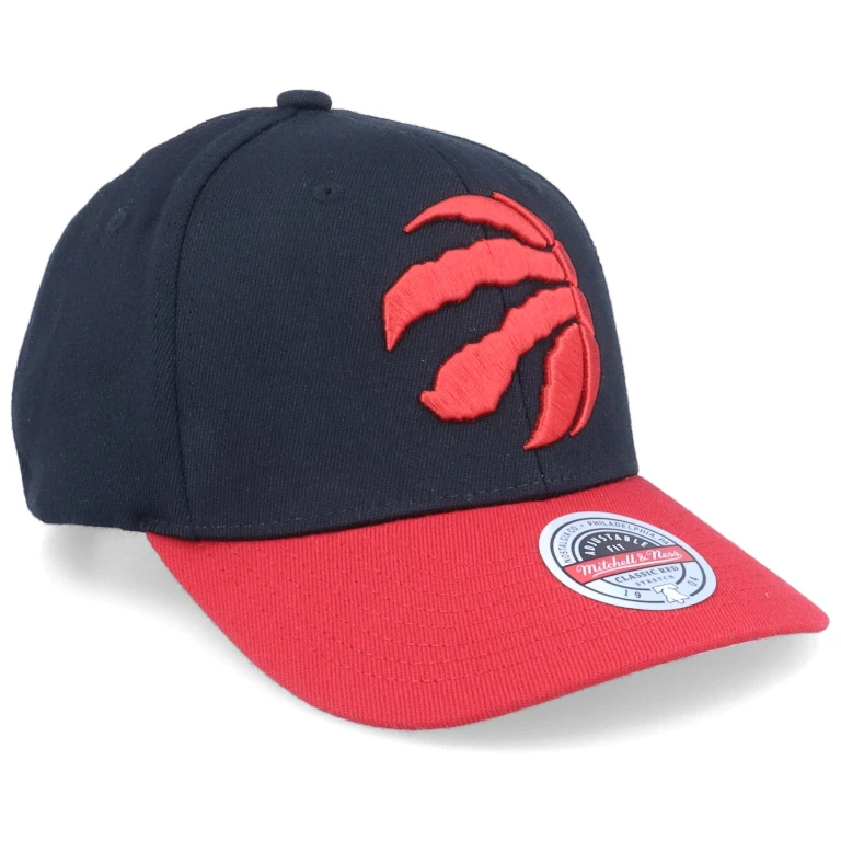 Men's NBA Team 2 Tone 2.0 Stretch Snapback NBA Raptors Snapback Caps