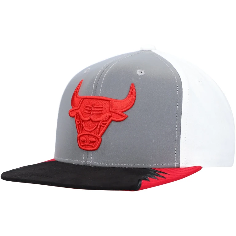 Men's NBA Day 5 Snapback Bulls Snapback Caps