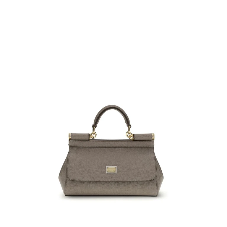 Dolce & Gabbana Gray Calf Leather Bos Taurus Handbag Bag - Women