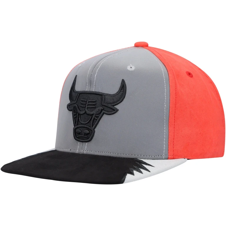 Men's NBA Day 5 Snapback Bulls Snapback Caps