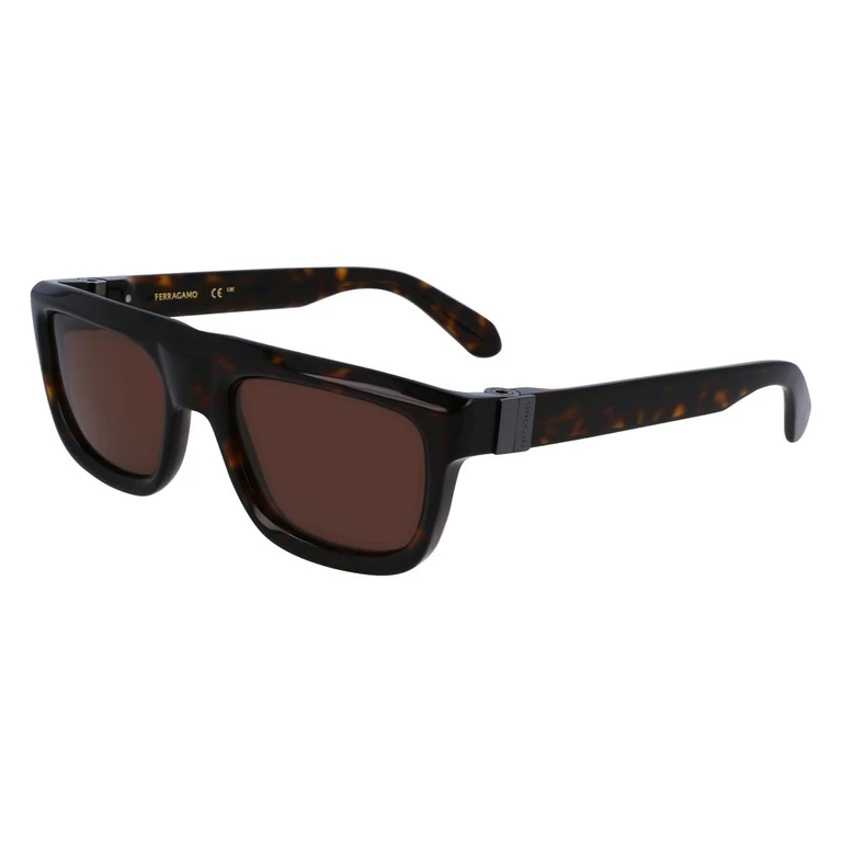 Ferragamo Brown Acetate Sunglasses - Men