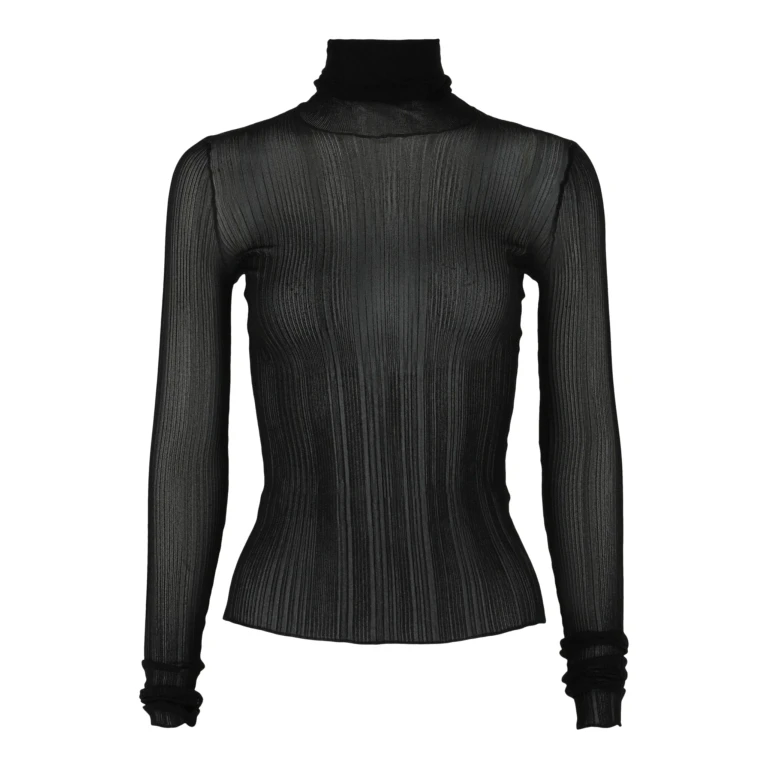 Sheer Stretch Turtleneck