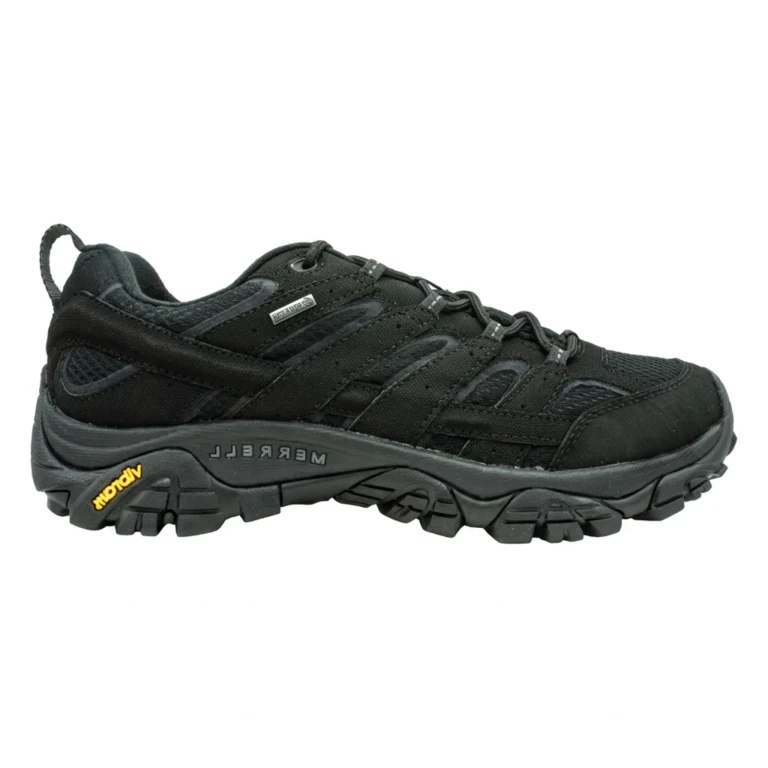 Men's Moab 2 Gtx Sneakers