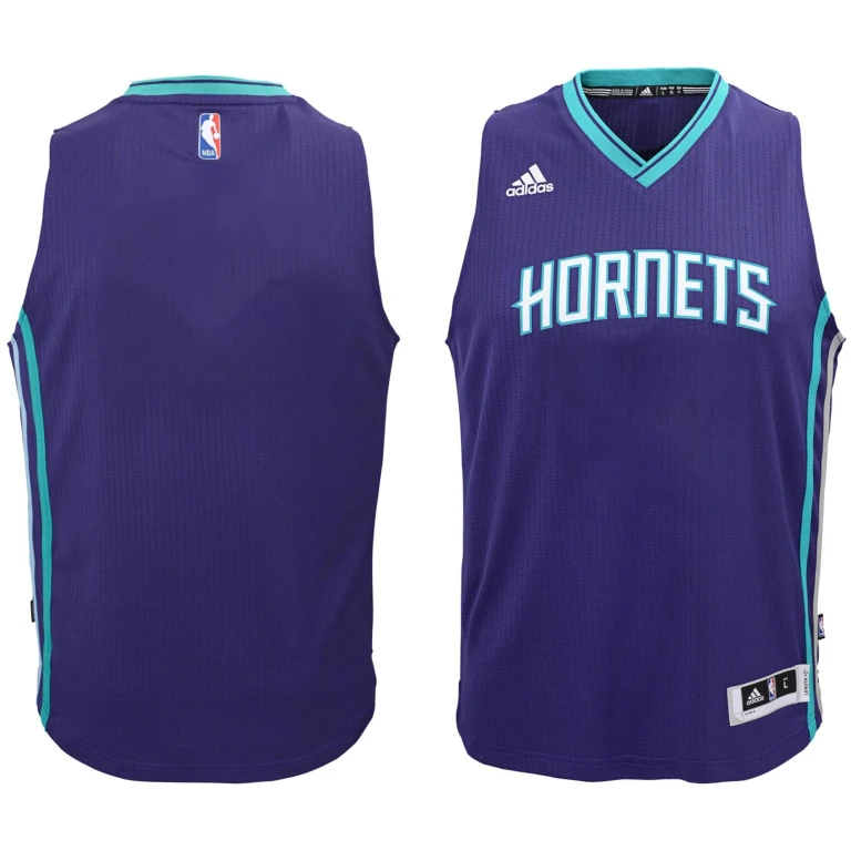 Men's Charlotte Hornets Swingman Jersey