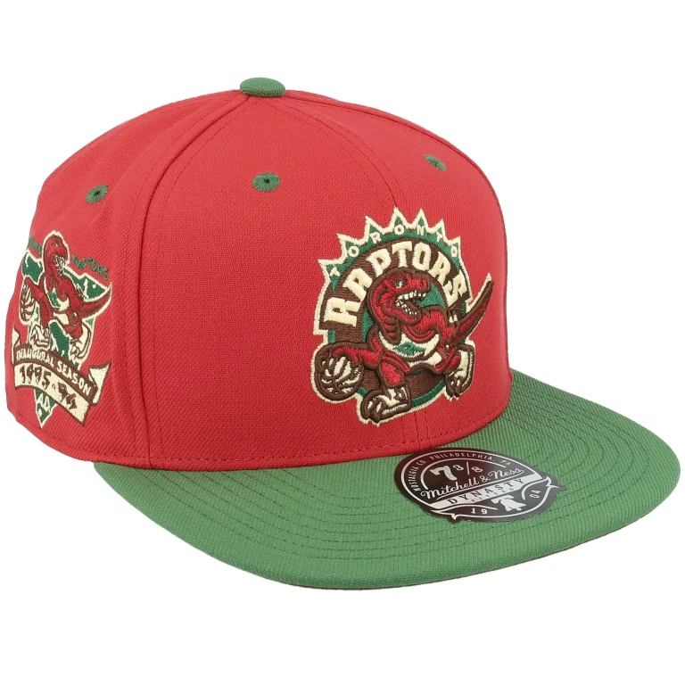 Men's NBA Nightmare Fitted Hwc Raptors Fitted Caps