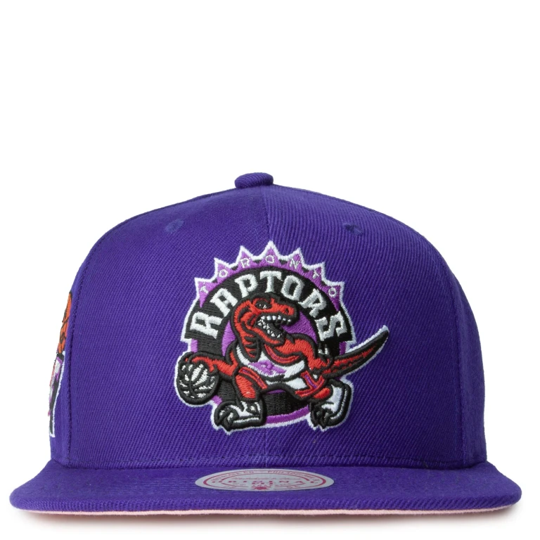 Men's NBA All Love Snapback Hwc Raptors Snapback Caps