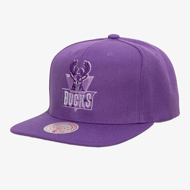 Men's NBA Monochromatic Snapback Hwc Bucks Snapback Caps