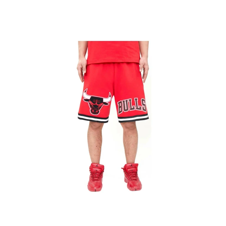 Chicago Bulls Classic Chenille Men Shorts Red