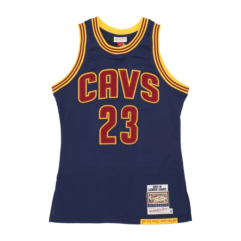 Men's NBA Dark Jersey Cavaliers 2015 Lebron James Jerseys