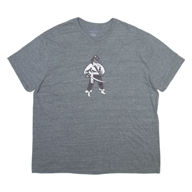 CHAMPION Mens T-Shirt Grey 2XL