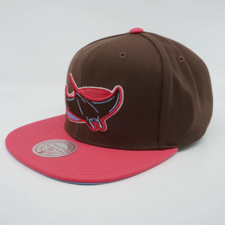Men's MLB The Damn Snapback Coop Rays Snapback Caps