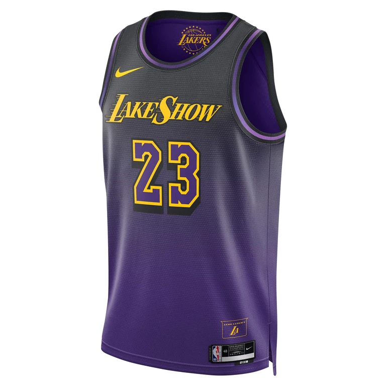Men's NBA Lebron James Los Angeles Lakers 2024/25 City Edition Swingman Jersey