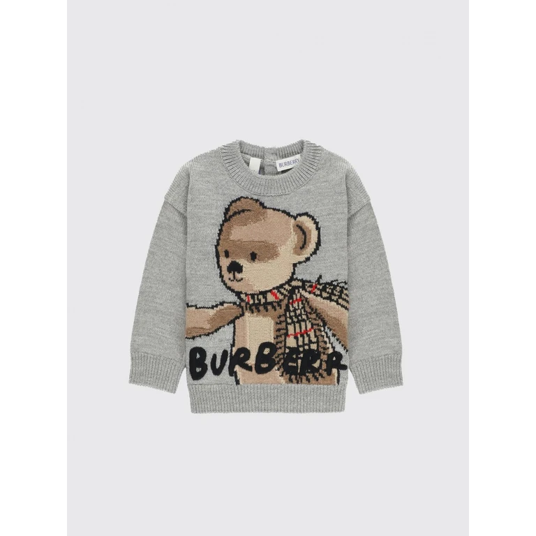Sweater Kids color Grey (8109473)