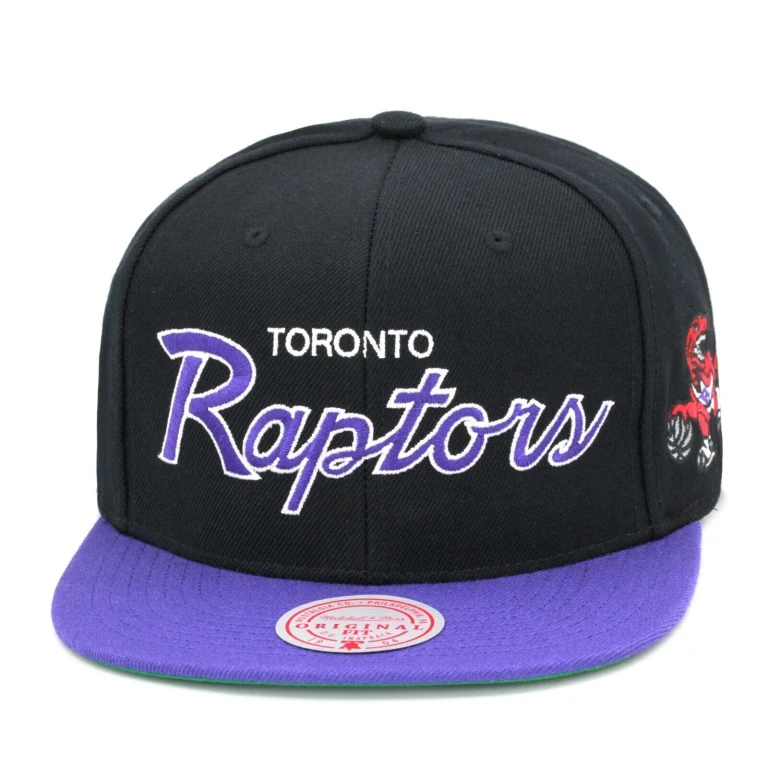 Men's NBA Toronto Raptors Team Script 2.0 Snapback
