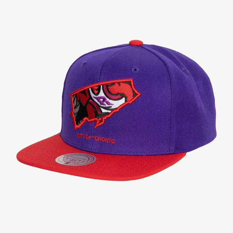 Men's NBA Team Insider Snapback Hwc Raptors Snapback Caps