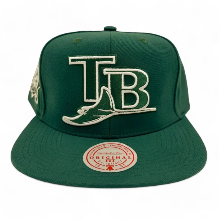 Men's MLB Back To Basics Snapback Coop Rays Snapback Caps