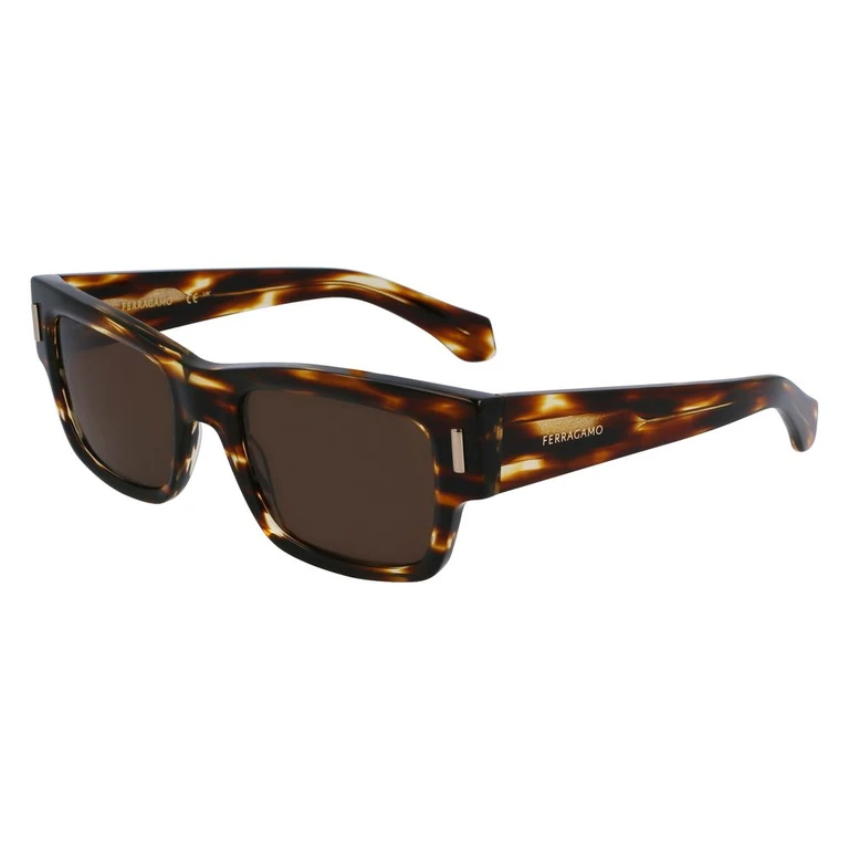 Ferragamo Brown Acetate Sunglasses - Men