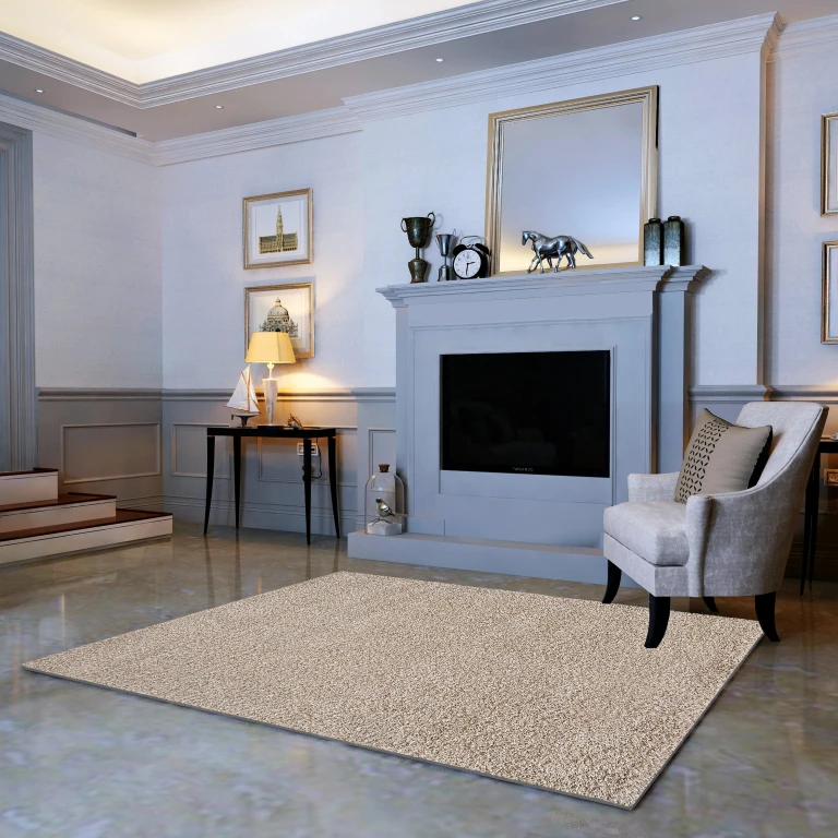 5' x 7' - 8' x 10' Rectangle Shaggy Area Rug