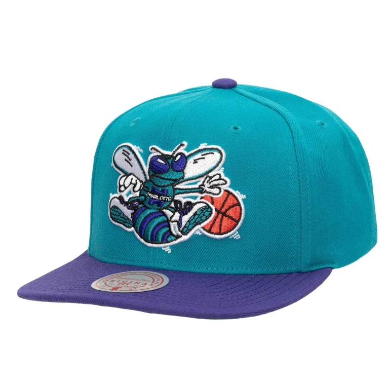 Mitchell & Ness Men's NBA Charlotte Hornets Team 2 Tone 2.0 Snapback