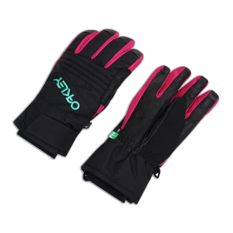 Men's Tnp Snow Glove Gloves