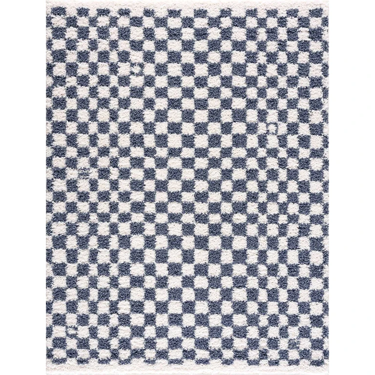 Kieu Blue & White Checkered Area Rug