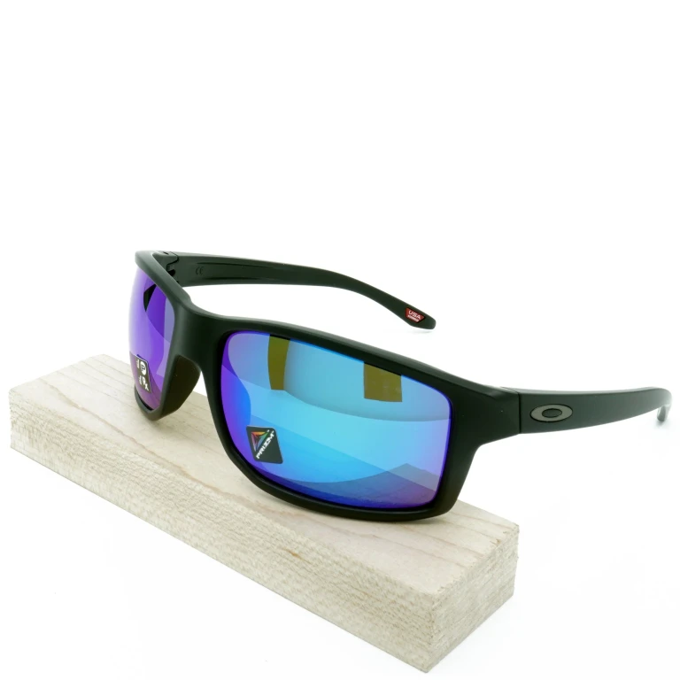 Men's Gibston Polarized Sunglasses