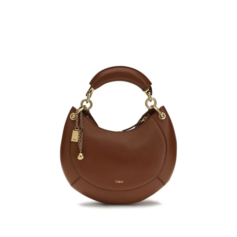 Chloé Brown Calf Leather Bos Taurus Shoulder Bag - Women (CHCH26AS921S6026PBB)
