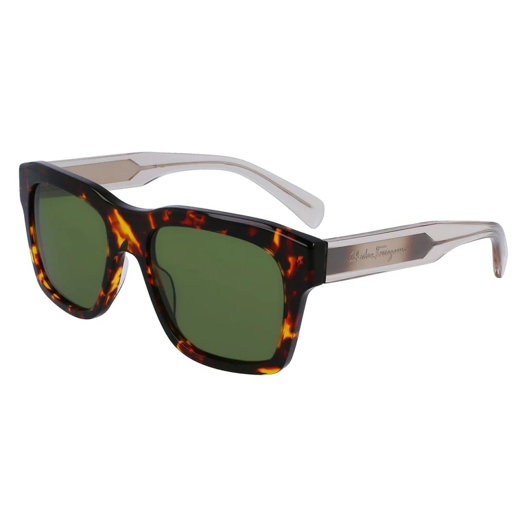 Ferragamo Brown Acetate Sunglasses - Men