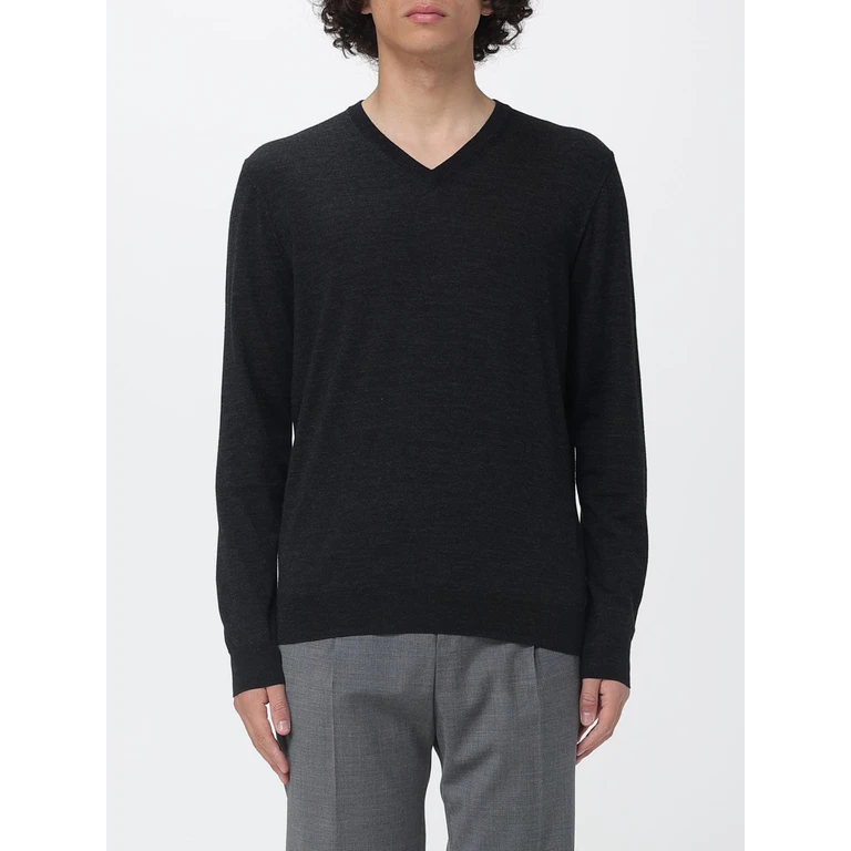 Basic V-Neck Merino Wool Sweater (D0D481680)