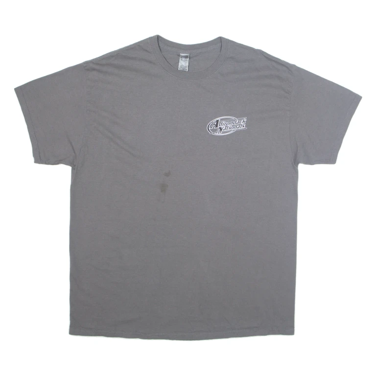 GILDAN Adirondack Nationals Mens T-Shirt Grey USA XL