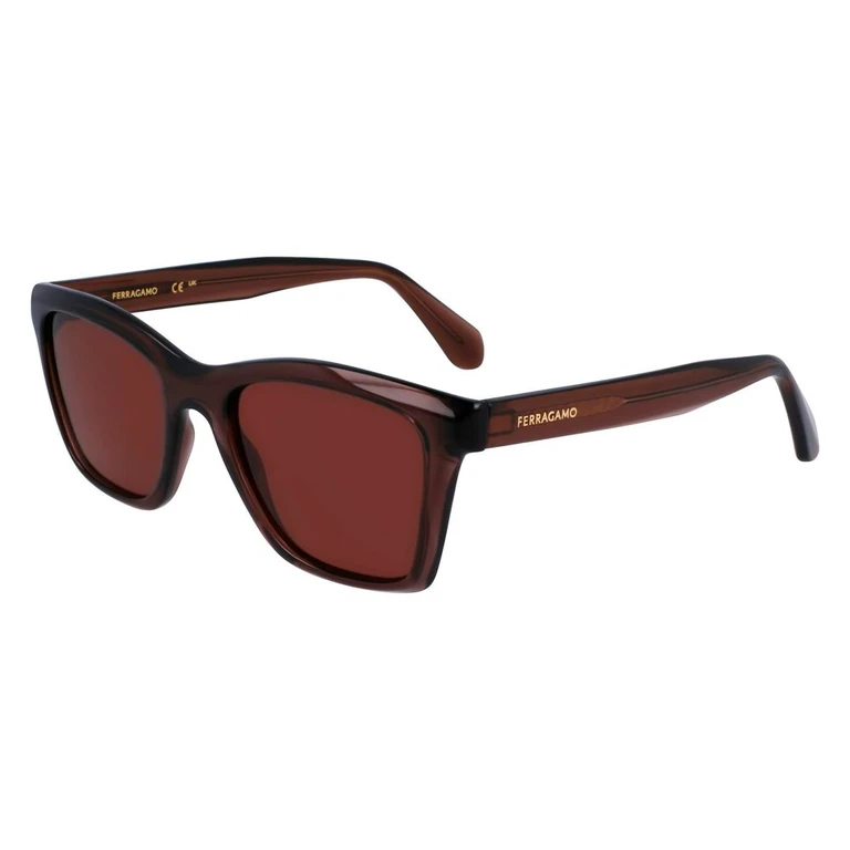 Ferragamo Brown Injected Sunglasses - Unisex